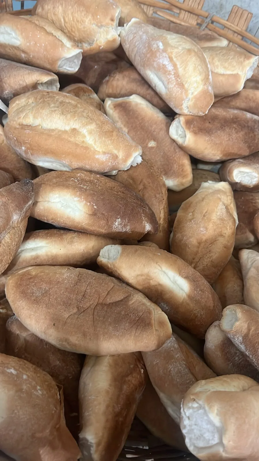 Bolillo